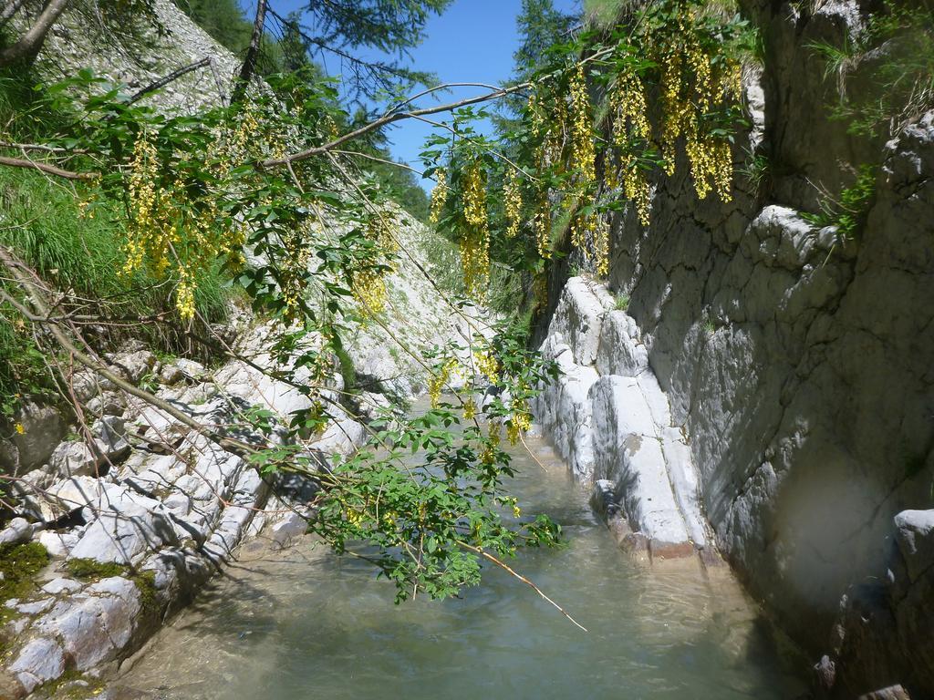 Gite Belle Valette Prads-Haute-Bléone Εξωτερικό φωτογραφία
